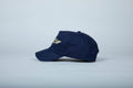 LEUCS Wingin It Snapback Blue