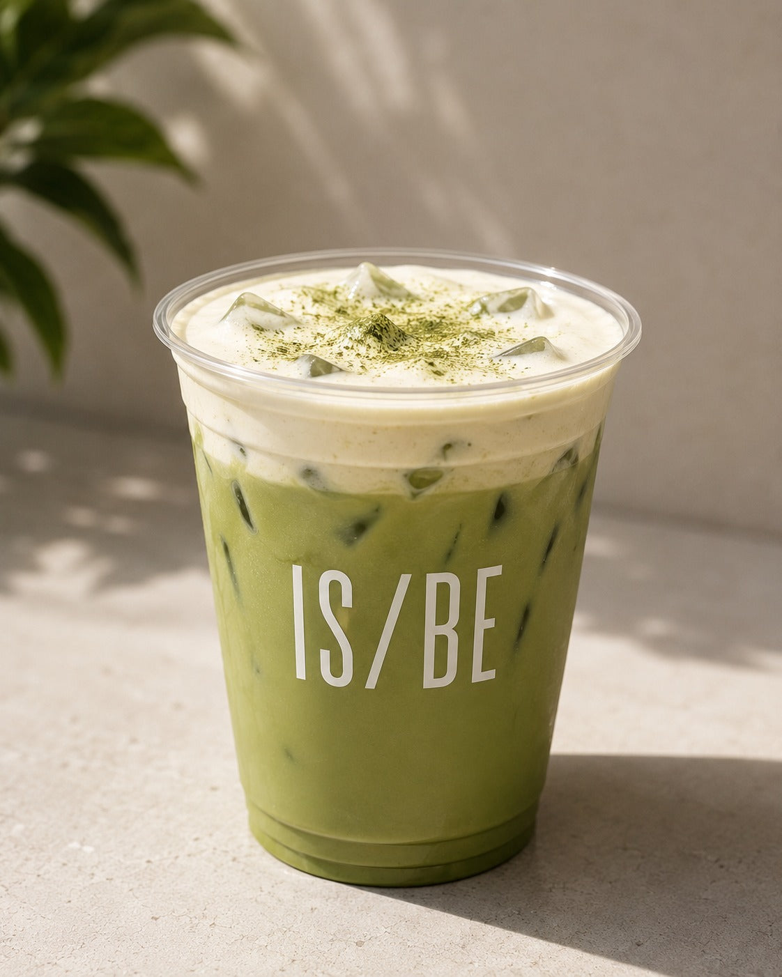 An iced IS/BE matcha latte in a branded cup, in sunlight beside a plant at IS/BE Outpost in Carlsbad Village